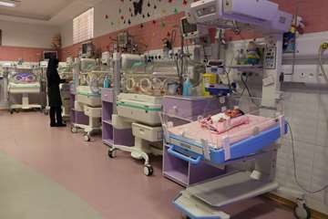 semums-en.amirhos.NICU 